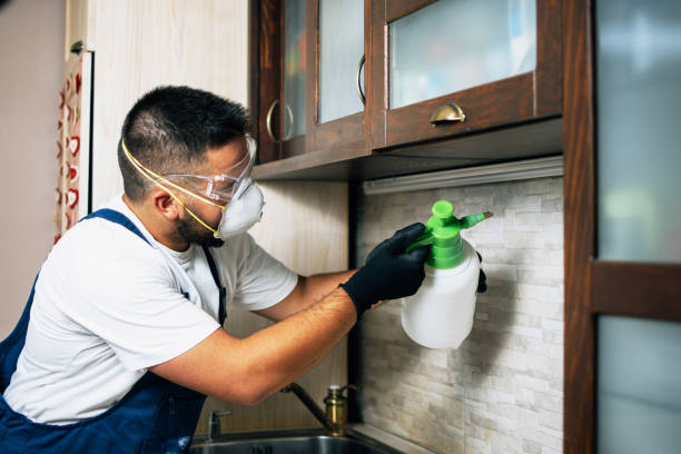 Best Pest Inspection Near Me  in Bethlehem, NC