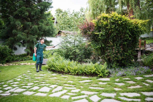 Pest Prevention Services in Bethlehem, NC