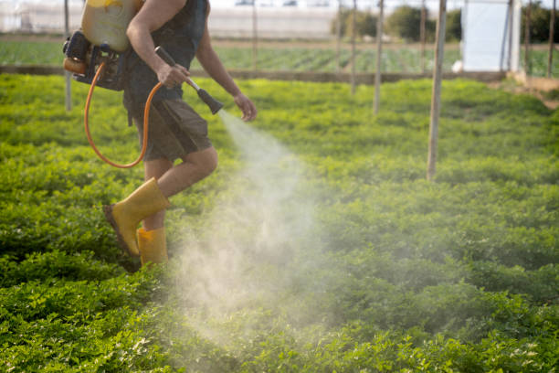 Best Pest Removal Services  in Bethlehem, NC