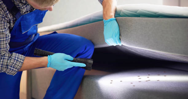 Best Best Pest Control Companies  in Bethlehem, NC