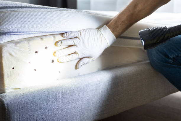 Best Affordable Pest Control Services  in Bethlehem, NC