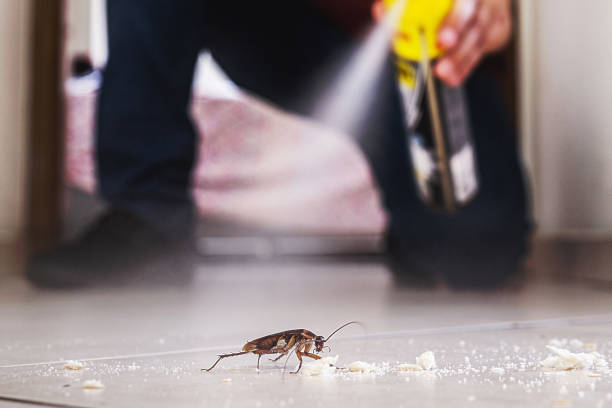 Best Pest Prevention Services  in Bethlehem, NC