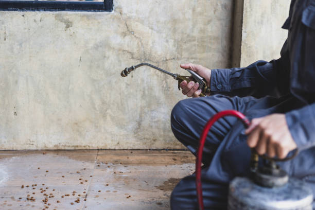 Best Pest Prevention Services  in Bethlehem, NC