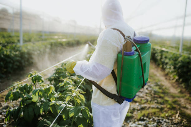 Best Pest Control Near Me  in Bethlehem, NC